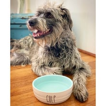 Gulp Ceramic Dog Bowl